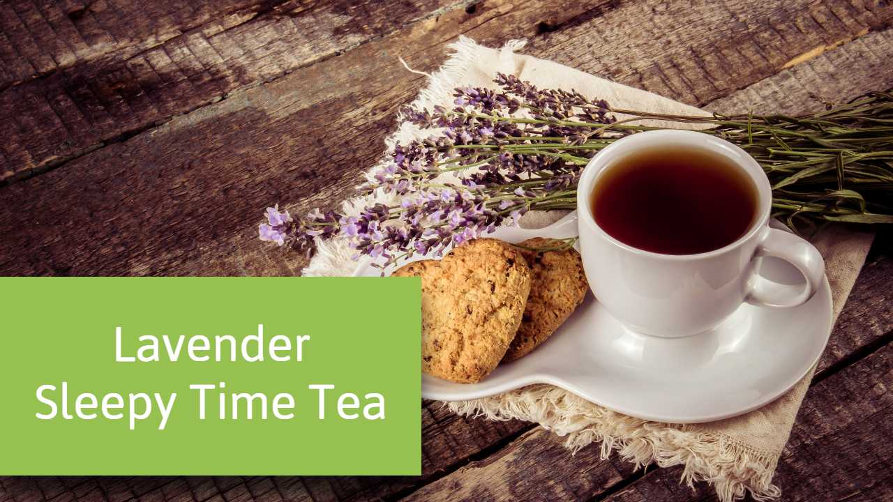 Lavender Sleepy Time Tea