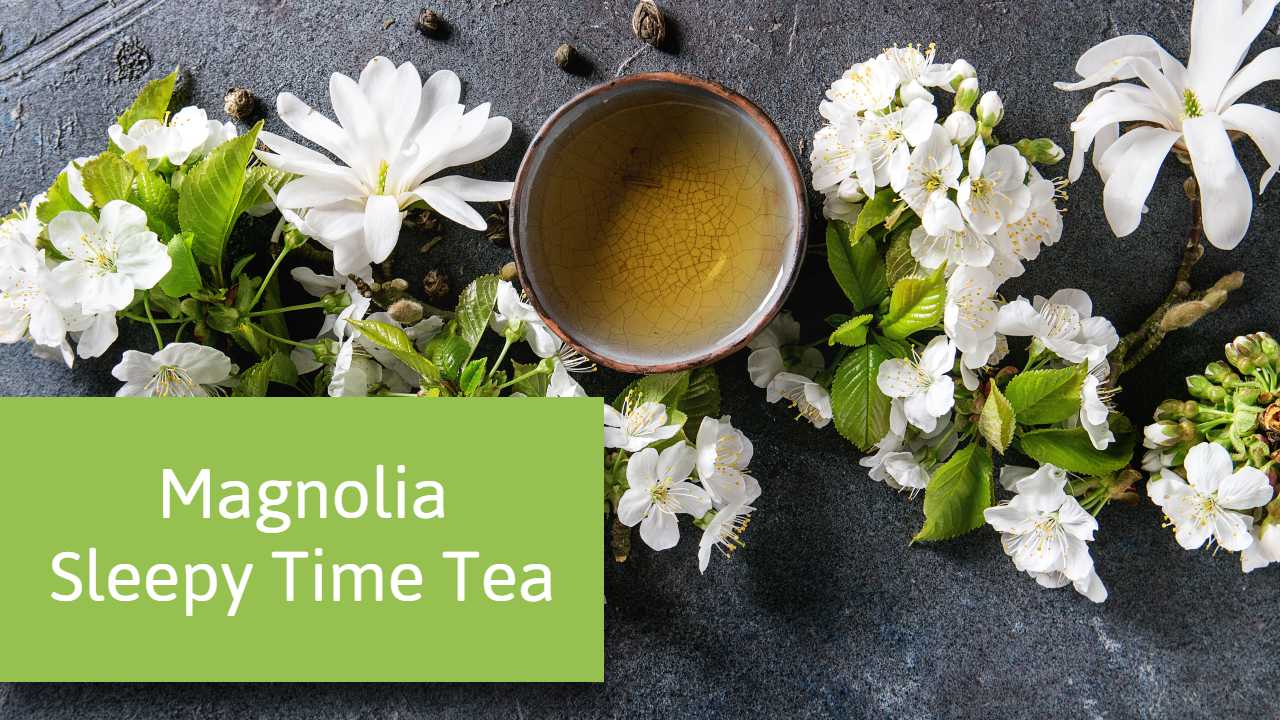 Mangolia Sleepy Time Tea